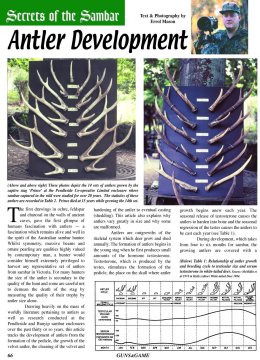 Secrets of the Sambar - page 66 Issue 33 (click the pic for an enlarged view)