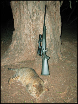 Browning A-Bolt II Model SSA .223 - page 88 Issue 53 (click the pic for an enlarged view)