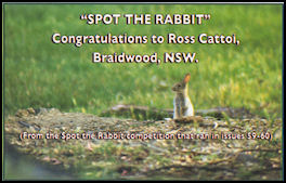 Previous 'Spot the Rabbit' - from Issues 59-60
