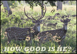 How good is he - judging trophies - page 76 Issue 65 (click the pic for an enlarged view)
