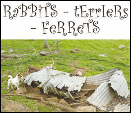 Rabbits - Ferrets � Terriers (page 22) Issue 89 (click the pic for an enlarged view)
