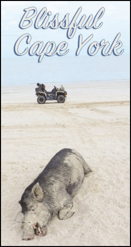 Blissful Cape York (page 30) Issue 89 (click the pic for an enlarged view)
