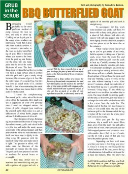 Grub in the Scrub - page 80 Issue 35 (click the pic for an enlarged view)