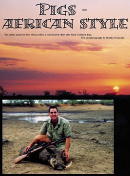 African Pigs  - page 68 Issue 39 (click the pic for an enlarged view)