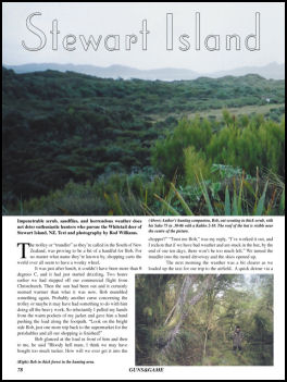Stewart Island Whitetail  - page 78 Issue 55 (click the pic for an enlarged view)