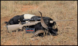 Ace Precision Rifle Systems (APRS) - .270 Win - page 104 Issue 75 (click the pic for an enlarged view)