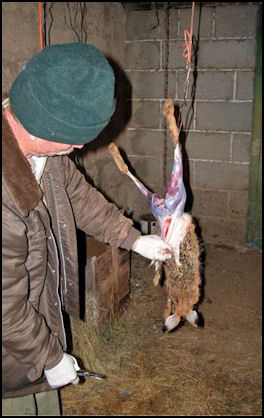 Quality Small Game Dressing - page 130 Issue 75 (click the pic for an enlarged view)