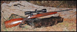 Minox ZA5 3-15x42 Scope - page 134 Issue 75 (click the pic for an enlarged view)