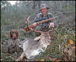 Gundog in the City...  Part 4: The Puppy Months - page 136 Issue 75 (click the pic for an enlarged view)