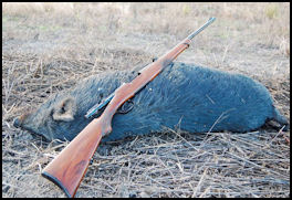 Mannlicher Schoenauer  M1903 - page 56 Issue 75 (click the pic for an enlarged view)