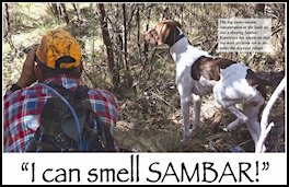 �I Can Smell Sambar!� (page 44) Issue 79 (click the pic for an enlarged view)