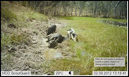 Beginners Guide to Trail Cameras (page 60) Issue 79 (click the pic for an enlarged view)