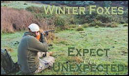 Winter Foxes � Expect the Unexpected! (page 30) Issue 83 (click the pic for an enlarged view)