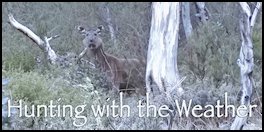 Hunting Sambar with the Weather (page 58) Issue 83 (click the pic for an enlarged view)