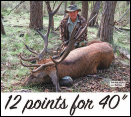 12 Points For 40' (page 40) Issue 87 (click the pic for an enlarged view)