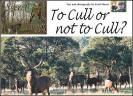 Secrets of the Sambar � To Cull or not to Cull - page 56 Issue 56 (click the pic for an enlarged view)