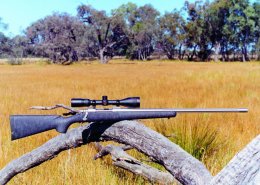 Remington .338 Ultra Mag - page 54 Issue 28 (click the pic for an enlarged view)