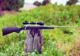 Weatherby Ultralight MkV & Leupold Illuminated Reticle Scope - page 74 Issue 28 (click the pic for an enlarged view)