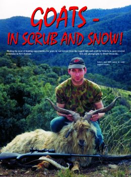 Goats - In Scrub and Snow - page 28 Issue 32 (click the pic for an enlarged view)