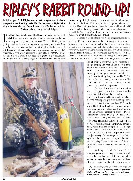 Ripley's Rabbit Round-up - page 18 Issue 44 (click the pic for an enlarged view)