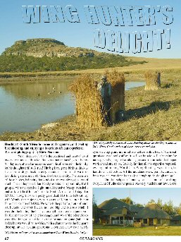 Wing Hunter's Delight - page 62 Issue 44 (click the pic for an enlarged view)