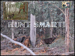 Secrets of the Sambar � Secrets of the Sambar - The Hunt Smart System - page 68 Issue 60 (click the pic for an enlarged view)