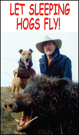 Let Sleeping Hogs Fly - page 78 Issue 64 (click the pic for an enlarged view)
