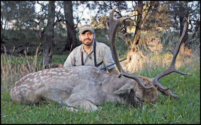 Rattle & Roar - page 78 Issue 76 (click the pic for an enlarged view)