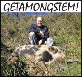 Getamongstem! (page 86) Issue 84 (click the pic for an enlarged view)