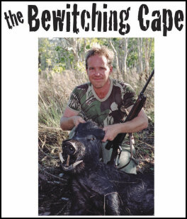The bewitching Cape (page 32) Issue 88 (click the pic for an enlarged view)